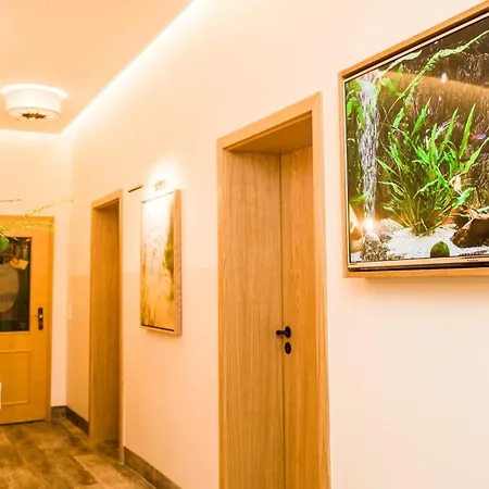 Hotel Scharfe Kurve